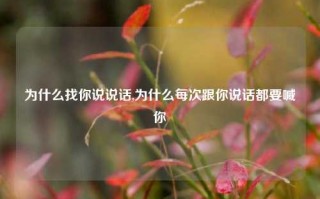 为什么找你说说话,为什么每次跟你说话都要喊你