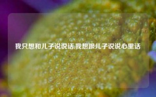 我只想和儿子说说话,我想跟儿子说说心里话