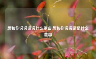 想和你说说话说什么歌曲,想和你说说话是什么意思