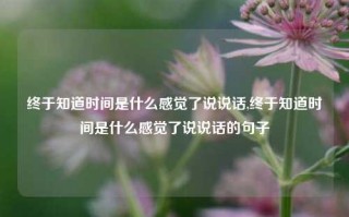 终于知道时间是什么感觉了说说话,终于知道时间是什么感觉了说说话的句子