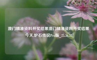 澳门精准资料开奖结果澳门精准资料开奖结果今天,炉石传说Pro版_25.36.57