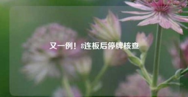 又一例！8连板后停牌核查