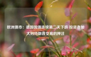 欧洲债市：德国国债连续第二天下跌 投资者加大对特朗普交易的押注