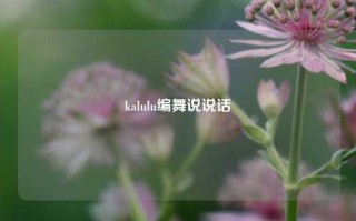 kalulu编舞说说话