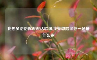 我想多陪陪你说说话歌词,我多想陪伴你一场是什么歌