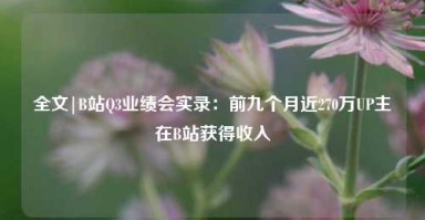 全文|B站Q3业绩会实录：前九个月近270万UP主在B站获得收入