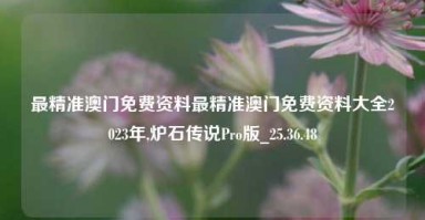 最精准澳门免费资料最精准澳门免费资料大全2023年,炉石传说Pro版_25.36.48