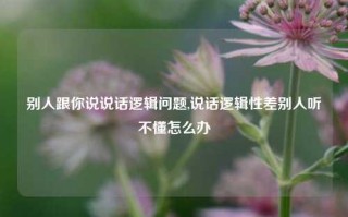 别人跟你说说话逻辑问题,说话逻辑性差别人听不懂怎么办