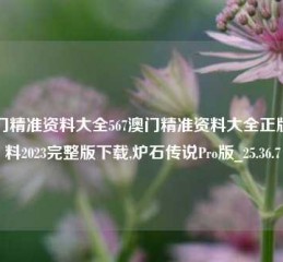 澳门精准资料大全567澳门精准资料大全正版资料2023完整版下载,炉石传说Pro版_25.36.7