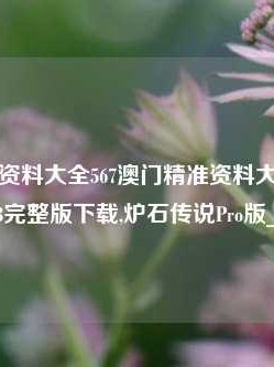 澳门精准资料大全567澳门精准资料大全正版资料2023完整版下载,炉石传说Pro版_25.36.7