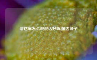 溜达车怎么说说话好听,遛达句子