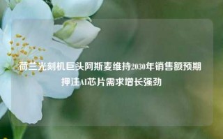 荷兰光刻机巨头阿斯麦维持2030年销售额预期 押注AI芯片需求增长强劲