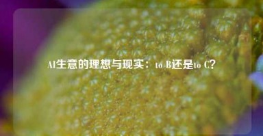 AI生意的理想与现实：to B还是to C？