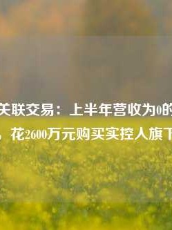 文一科技关联交易：上半年营收为0的半导体子公司，花2600万元购买实控人旗下房产