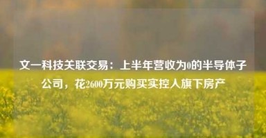 文一科技关联交易：上半年营收为0的半导体子公司，花2600万元购买实控人旗下房产