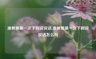 准爸爸第一次下厨说说话,准爸爸第一次下厨说说话怎么写