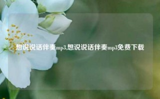 想说说话伴奏mp3,想说说话伴奏mp3免费下载