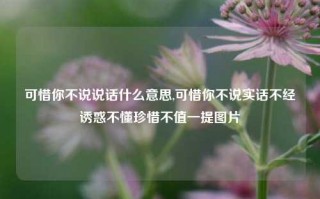 可惜你不说说话什么意思,可惜你不说实话不经诱惑不懂珍惜不值一提图片