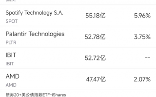 11月13日美股成交额前20：马斯克将领导特朗普政府效率部门