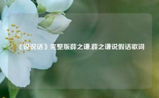 《说说话》完整版薛之谦,薛之谦说假话歌词