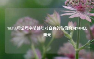 TikTok母公司字节跳动对自身的估值约为3,000亿美元