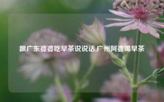 跟广东婆婆吃早茶说说话,广州阿婆喝早茶