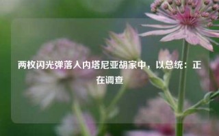 两枚闪光弹落入内塔尼亚胡家中，以总统：正在调查