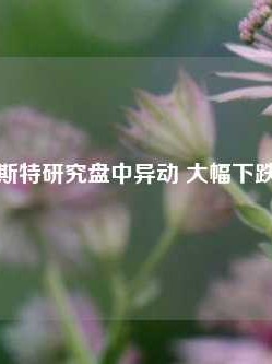 佛罗斯特研究盘中异动 大幅下跌5.26%