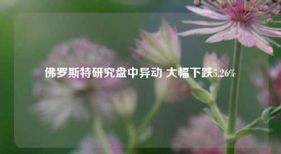 佛罗斯特研究盘中异动 大幅下跌5.26%