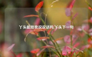 丫头能陪我说说话吗,丫头下一句