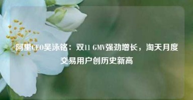 阿里CEO吴泳铭：双11 GMV强劲增长，淘天月度交易用户创历史新高