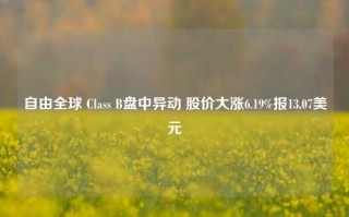 自由全球 Class B盘中异动 股价大涨6.19%报13.07美元