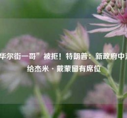 “华尔街一哥”被拒！特朗普：新政府中没有给杰米·戴蒙留有席位