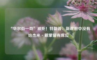 “华尔街一哥”被拒！特朗普：新政府中没有给杰米·戴蒙留有席位