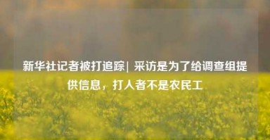 新华社记者被打追踪| 采访是为了给调查组提供信息，打人者不是农民工