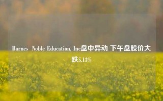 Barnes  Noble Education, Inc盘中异动 下午盘股价大跌5.13%