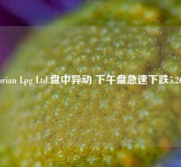 Dorian Lpg Ltd.盘中异动 下午盘急速下跌5.26%