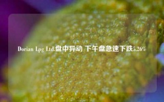 Dorian Lpg Ltd.盘中异动 下午盘急速下跌5.26%