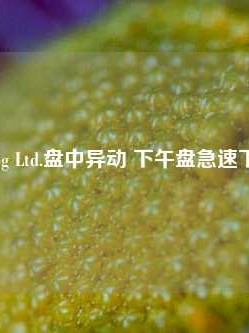 Dorian Lpg Ltd.盘中异动 下午盘急速下跌5.26%