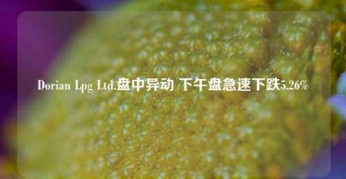 Dorian Lpg Ltd.盘中异动 下午盘急速下跌5.26%