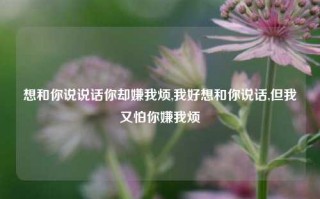 想和你说说话你却嫌我烦,我好想和你说话,但我又怕你嫌我烦