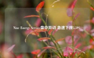 Nine Energy Service盘中异动 急速下挫5.59%