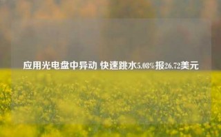 应用光电盘中异动 快速跳水5.08%报26.72美元