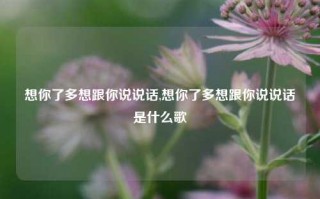 想你了多想跟你说说话,想你了多想跟你说说话是什么歌