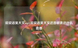 说说话吴大文mp3,说说话吴大文这首歌表达什么意思