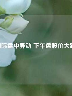 CACI国际盘中异动 下午盘股价大跌5.04%