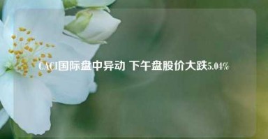 CACI国际盘中异动 下午盘股价大跌5.04%