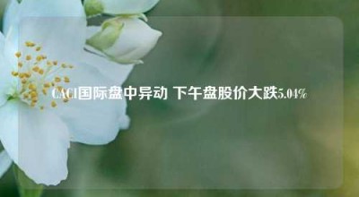 CACI国际盘中异动 下午盘股价大跌5.04%