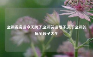 空调说说话今天哭了,空调笑话段子,关于空调的搞笑段子大全