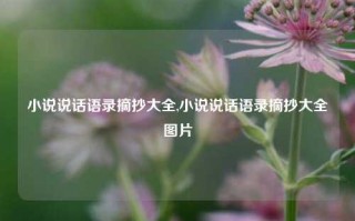 小说说话语录摘抄大全,小说说话语录摘抄大全图片